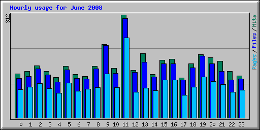 Hourly usage for June 2008