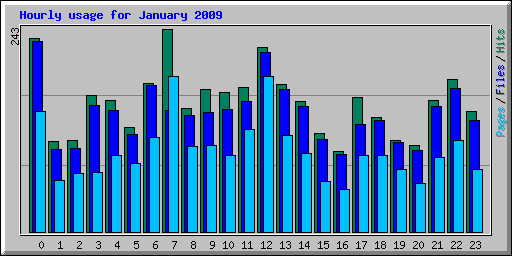 Hourly usage for January 2009