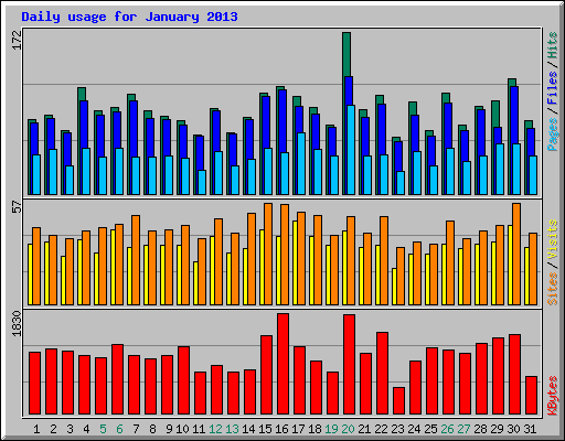 Daily usage for January 2013