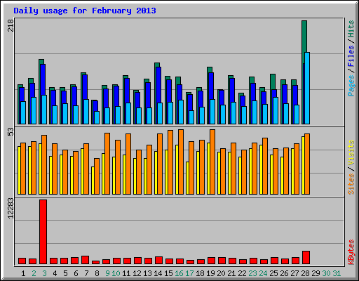 Daily usage for February 2013