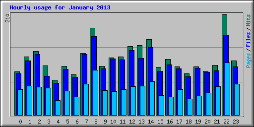 Hourly usage for January 2013