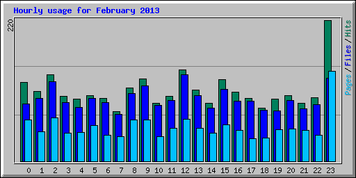 Hourly usage for February 2013